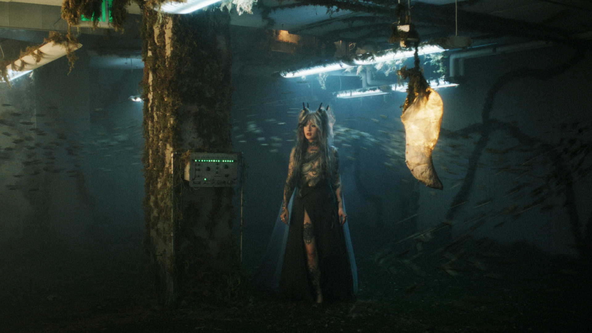 Still frame of MOTHICA for music video EVERGREEN directed by Ryan Joseph