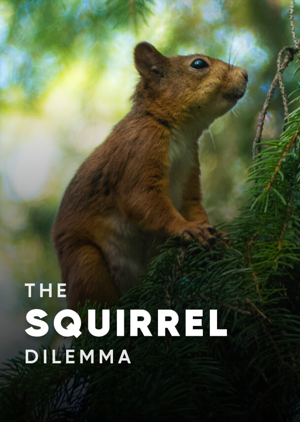 Documentary - Streaming X Webflow Template