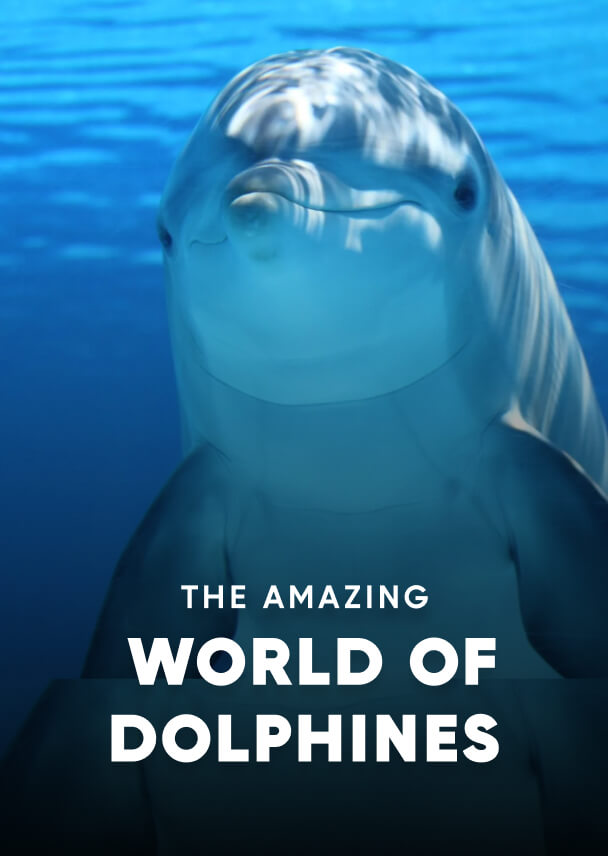 Documentary - Streaming X Webflow Template