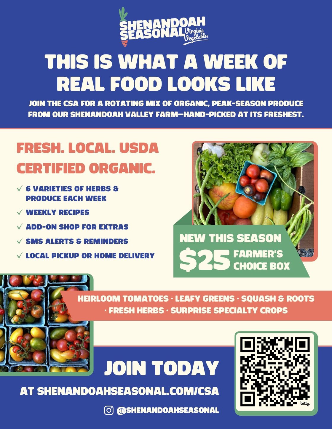 Shenandoah Seasonal Flyer