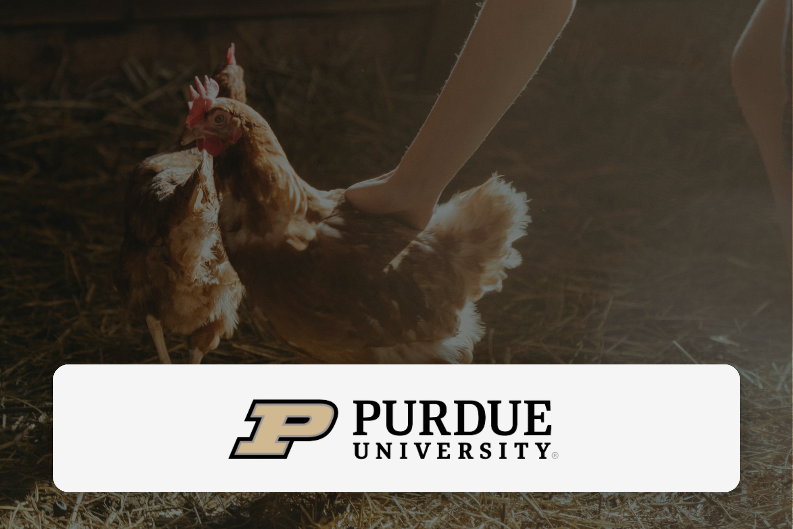 Farm Stress Workshop — Tools for managing stress in farm life