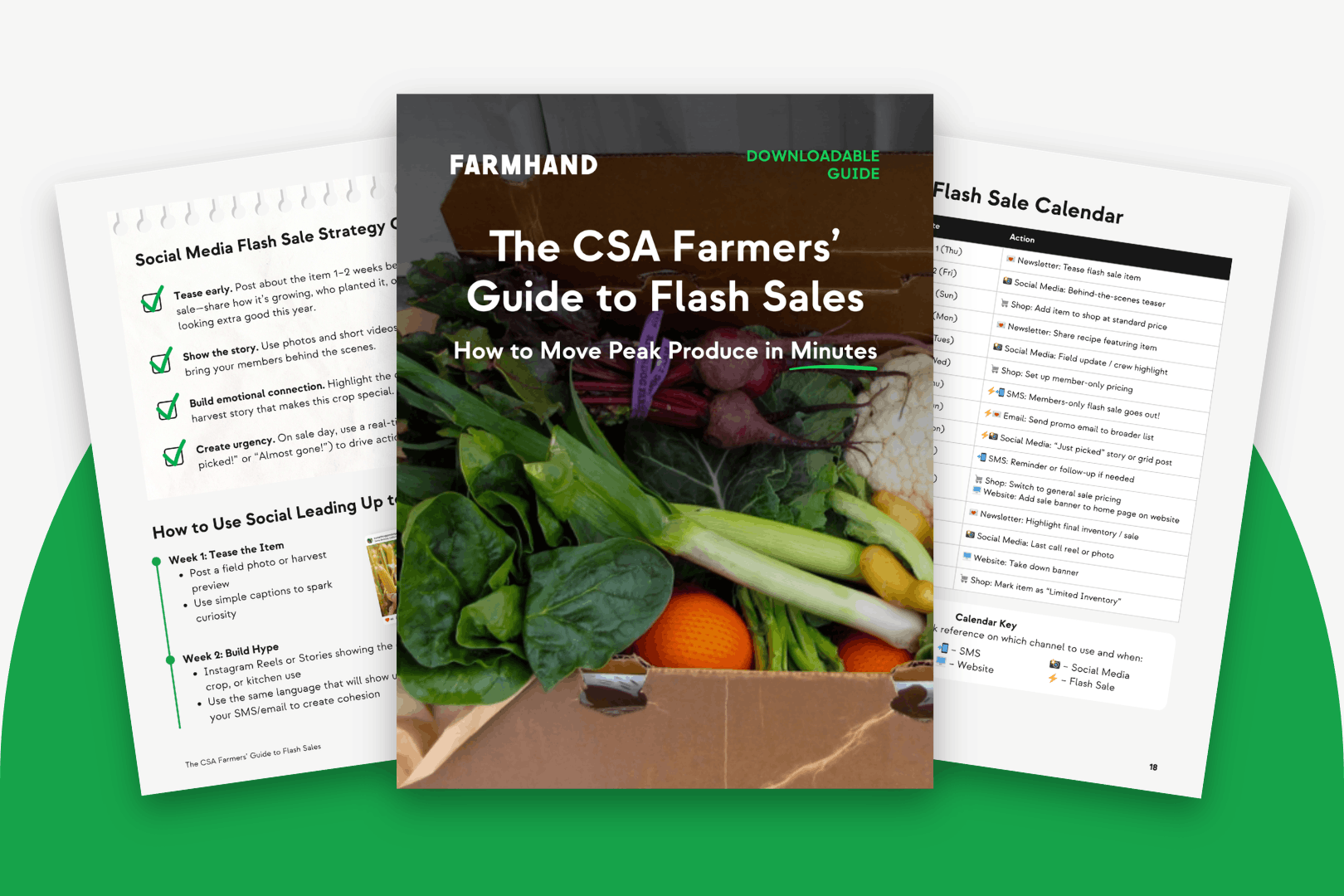 Flash sale strategies for CSA farmers to move peak produce