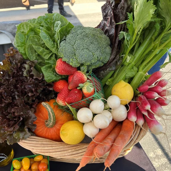 A JR Organics box packed at the market: lettuces, broccoli, celery, strawberries, radishes, carrots, lemons and cherry tomatoes