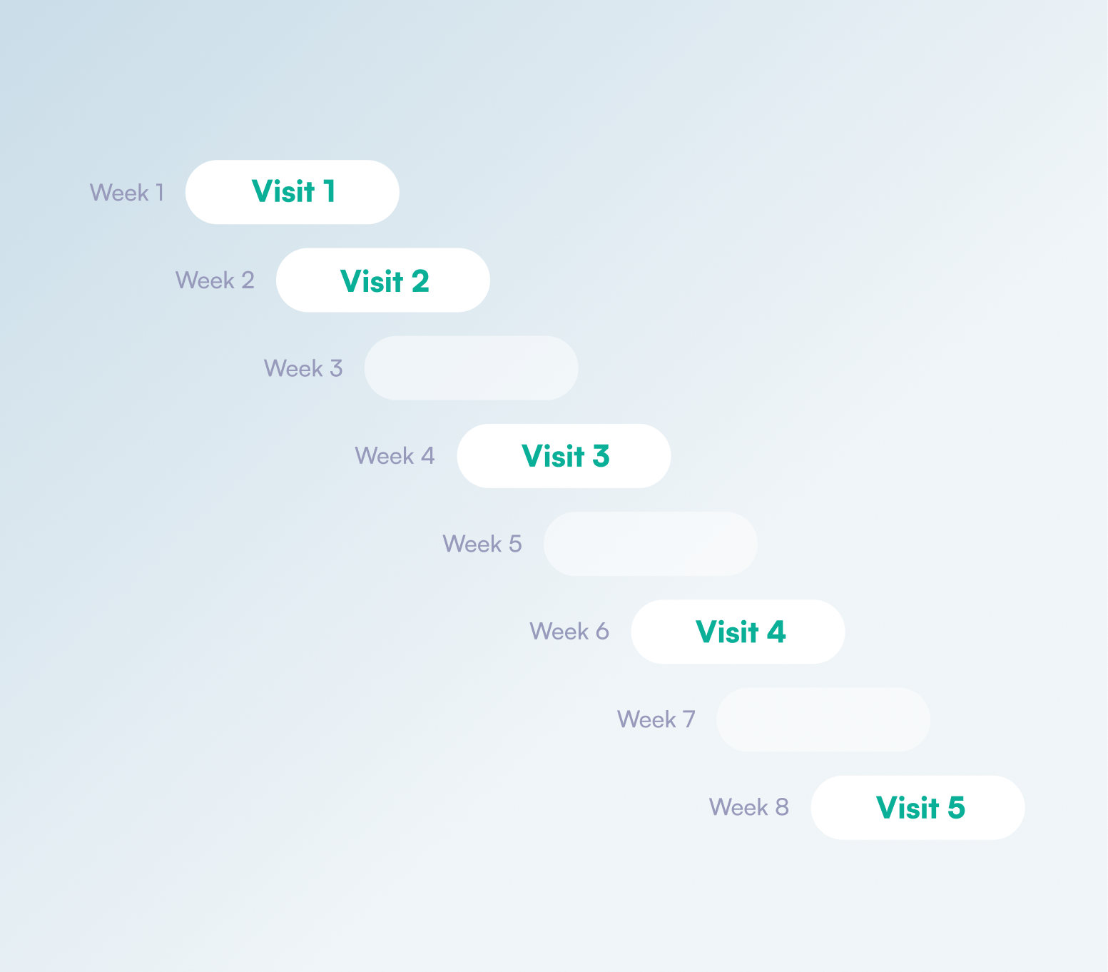 Osmind's platform illustration