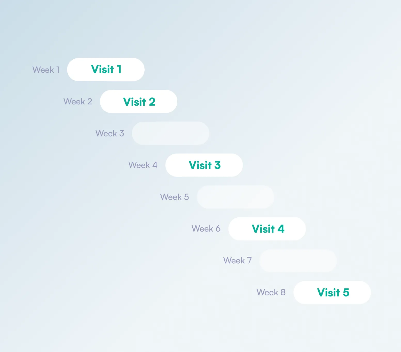 Osmind's platform illustration