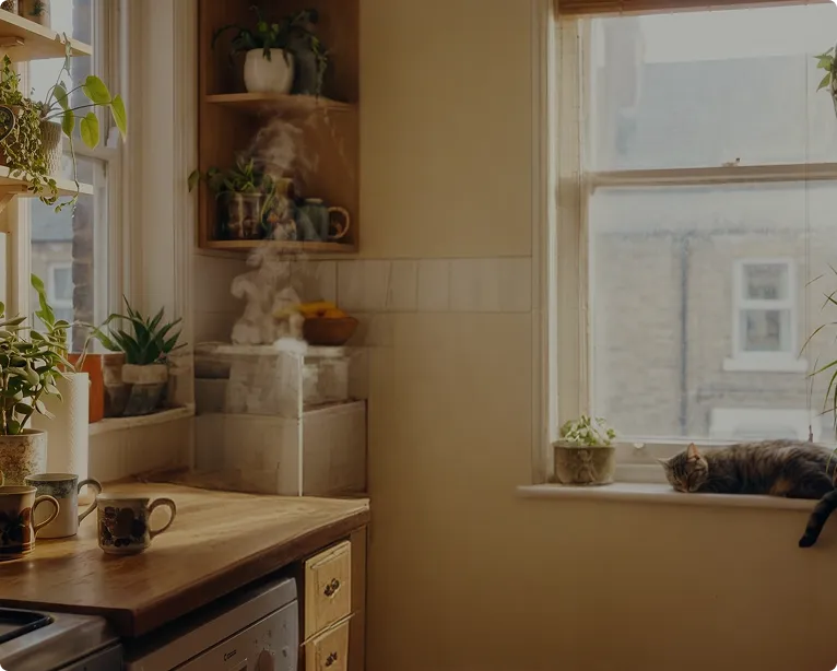 Cozy kitchen with steaming kettle, plants on shelves, and a cat resting on a sunny windowsill.