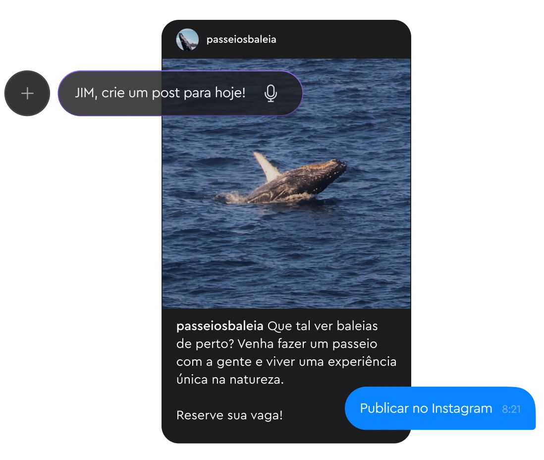 Instagram post showing a whale breaching in the ocean with text inviting to reserve a whale watching tour.