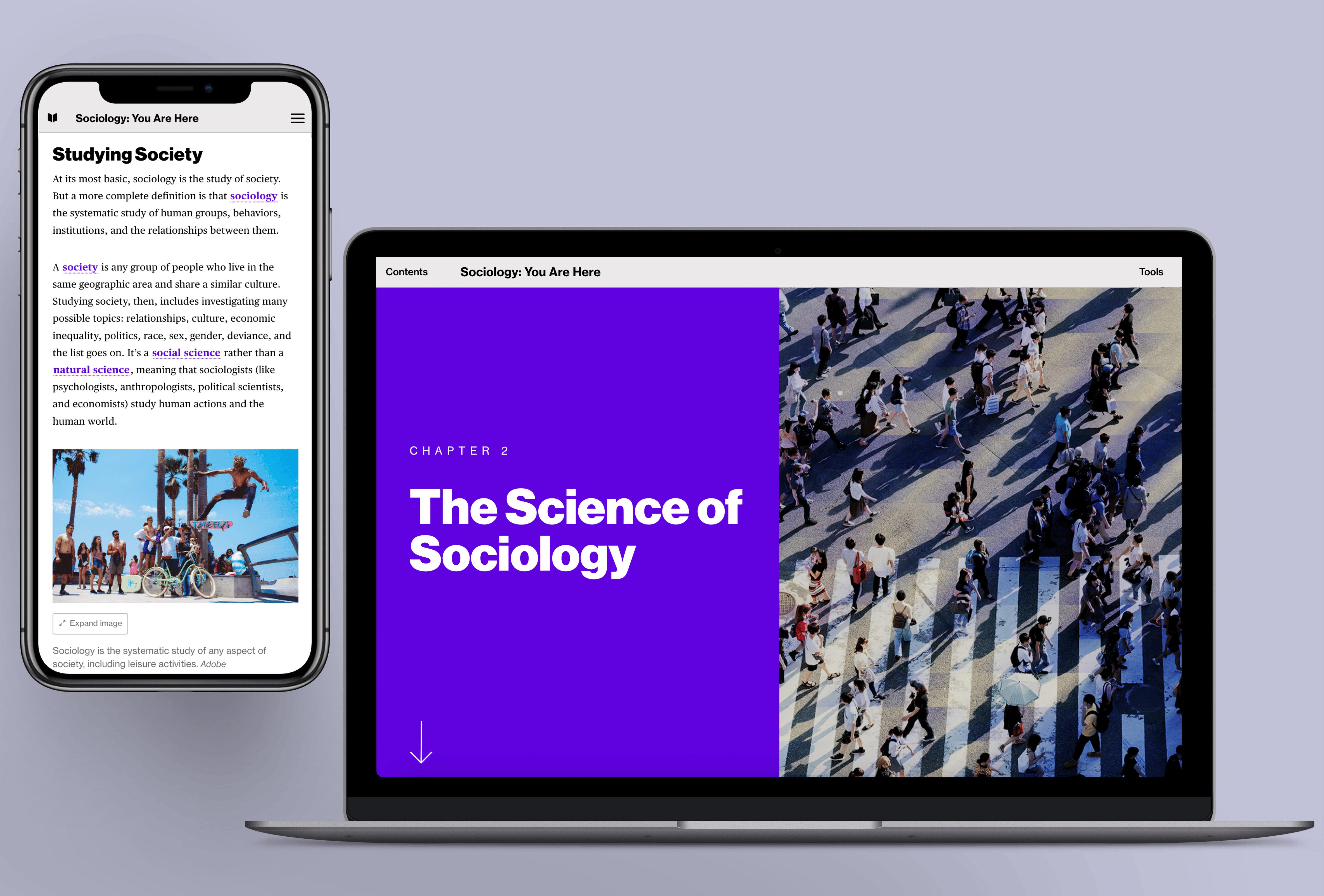 A graphic showing off two interior pages of Sociology: You Are Here on a laptop and a mobile device.