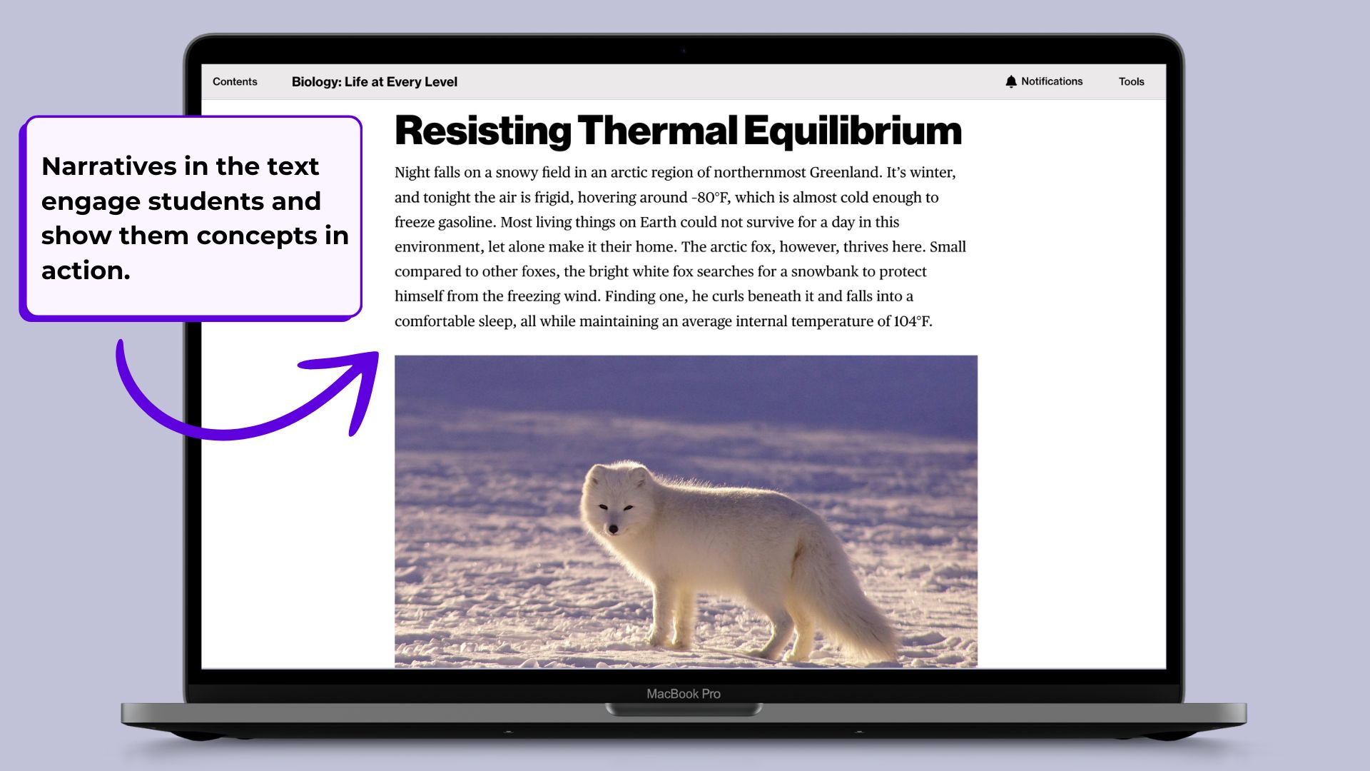 A graphic featuring a screenshot of the webtext on a laptop. It shows a page titled "Resisting Thermal Equilibrium" with the picture of an arctic fox. Over the image, a textbox reads "Narratives in the text engage students and show them concepts in action."