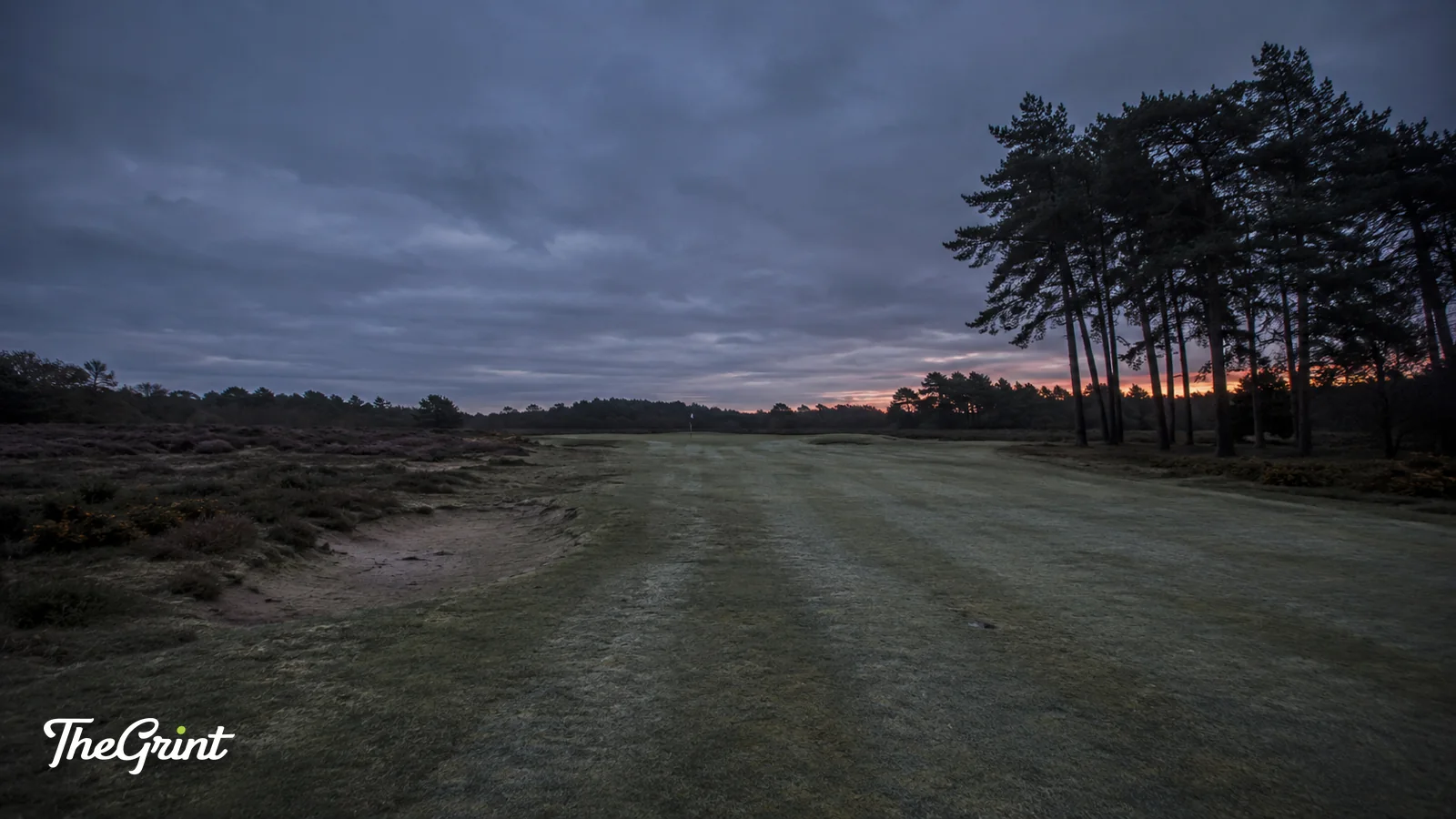 Heathland golf fairway at dusk with silhouetted pines
