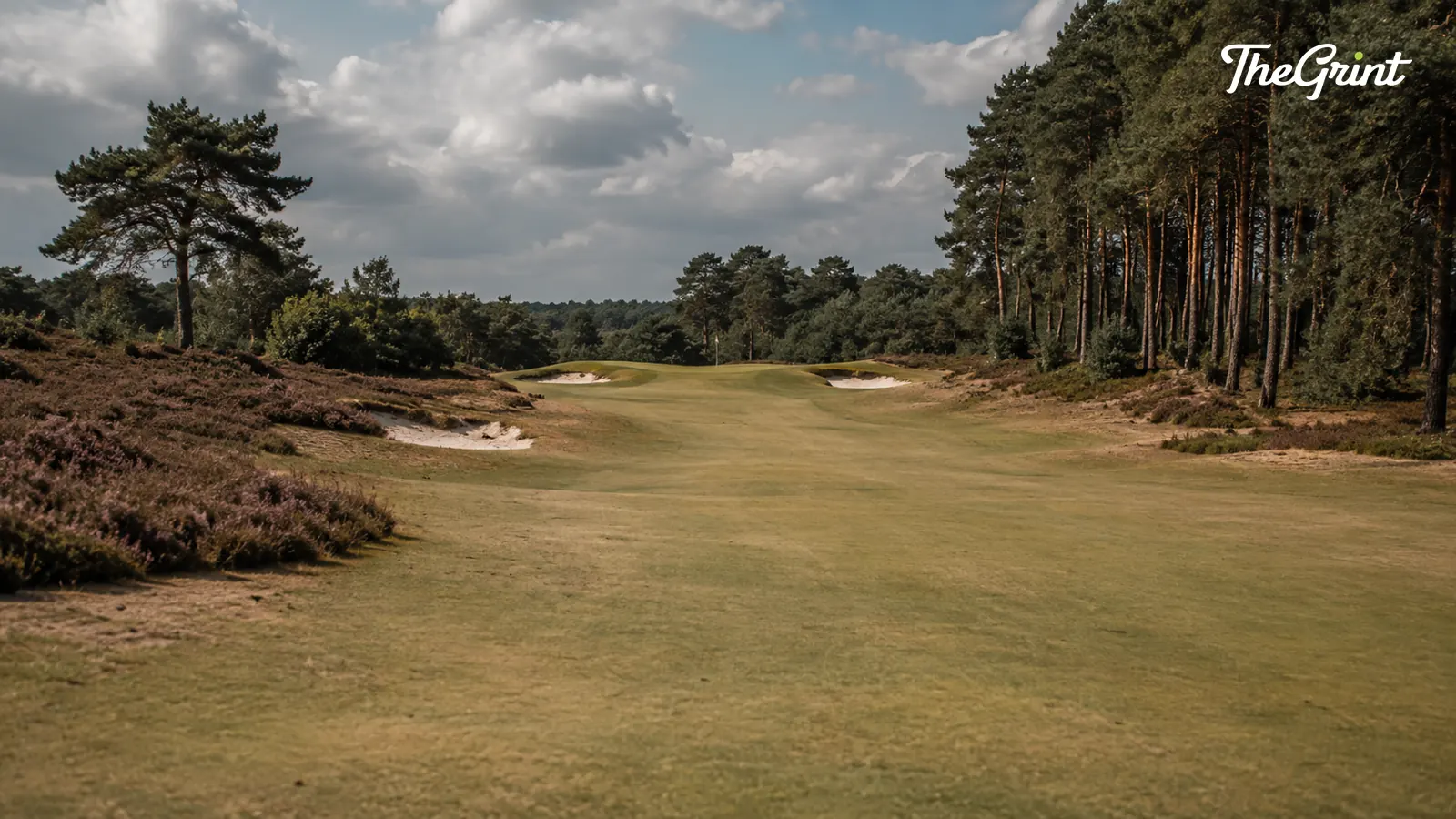 Heathland golf hole framed by pines with bunkers guarding the green