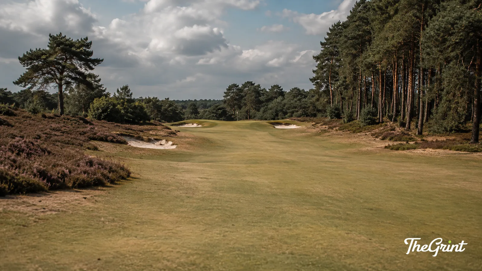 Heathland golf fairway lined with pines and heather under a cloudy sky