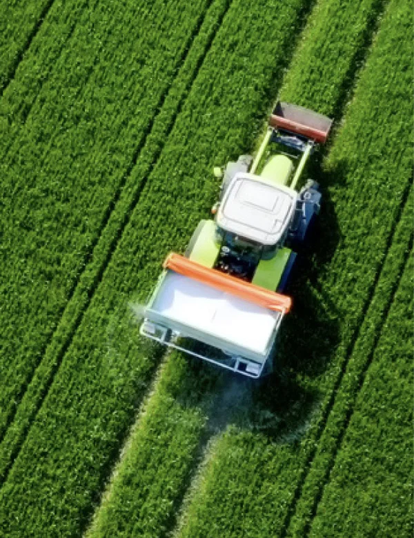 Africa, an untapped potential of agriculture