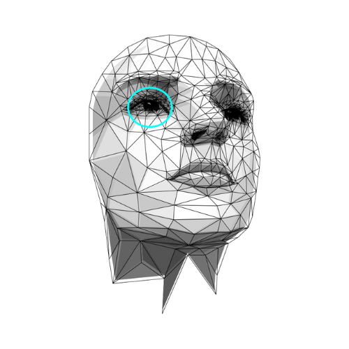 A 3D wireframe model of a human face, with triangular facets forming its structure. The face is depicted in a neutral expression and is slightly turned to one side. A blue circle highlights one of the eyes. The background is solid black.