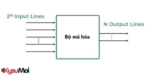 Bộ mã hóa là gì?
