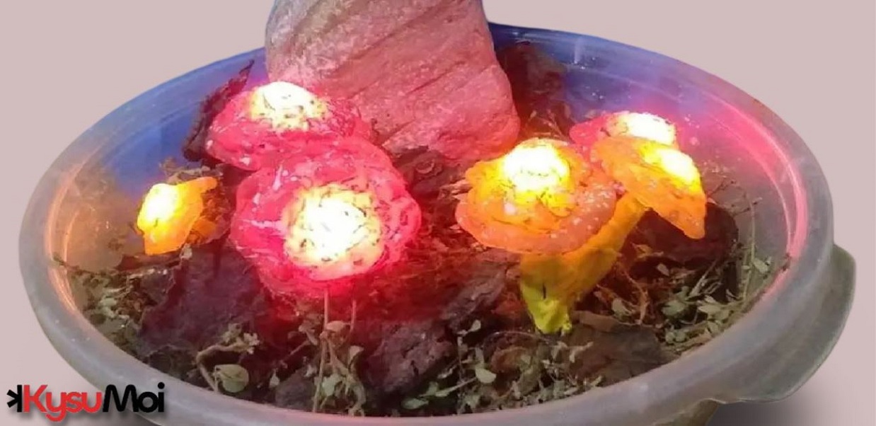 Làm đèn LED trang trí hình nấm bằng Arduino