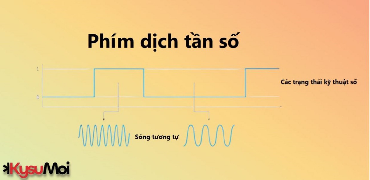 Phím dịch tần số là gì?
