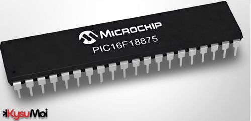 Vi điều khiển PIC và kiến trúc của nó kèm theo giải thích