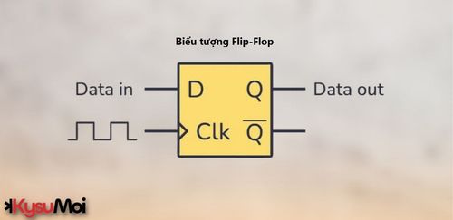 Dép Flip-Flop D (Hướng dẫn nhanh)