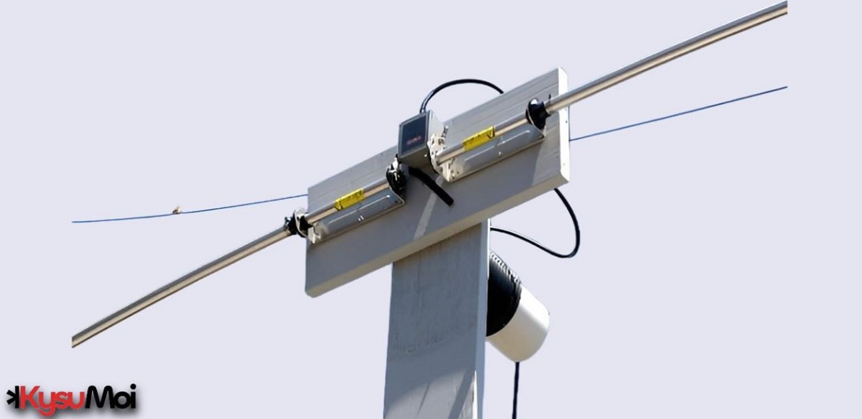 Ăng-ten lưỡng cực: Nguyên lý hoạt động và các ứng dụng của nó