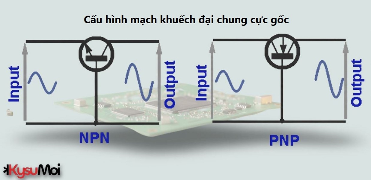 Bộ khuếch đại chung cực gốc