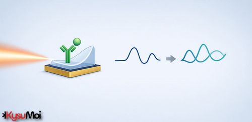 Cảm biến sinh học quang học là gì?