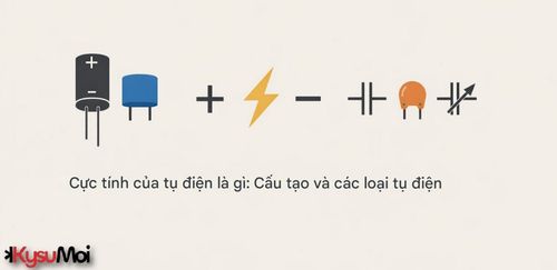 Phân cực tụ điện là gì: Cấu tạo và các loại của nó