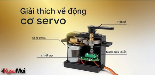 Động cơ servo