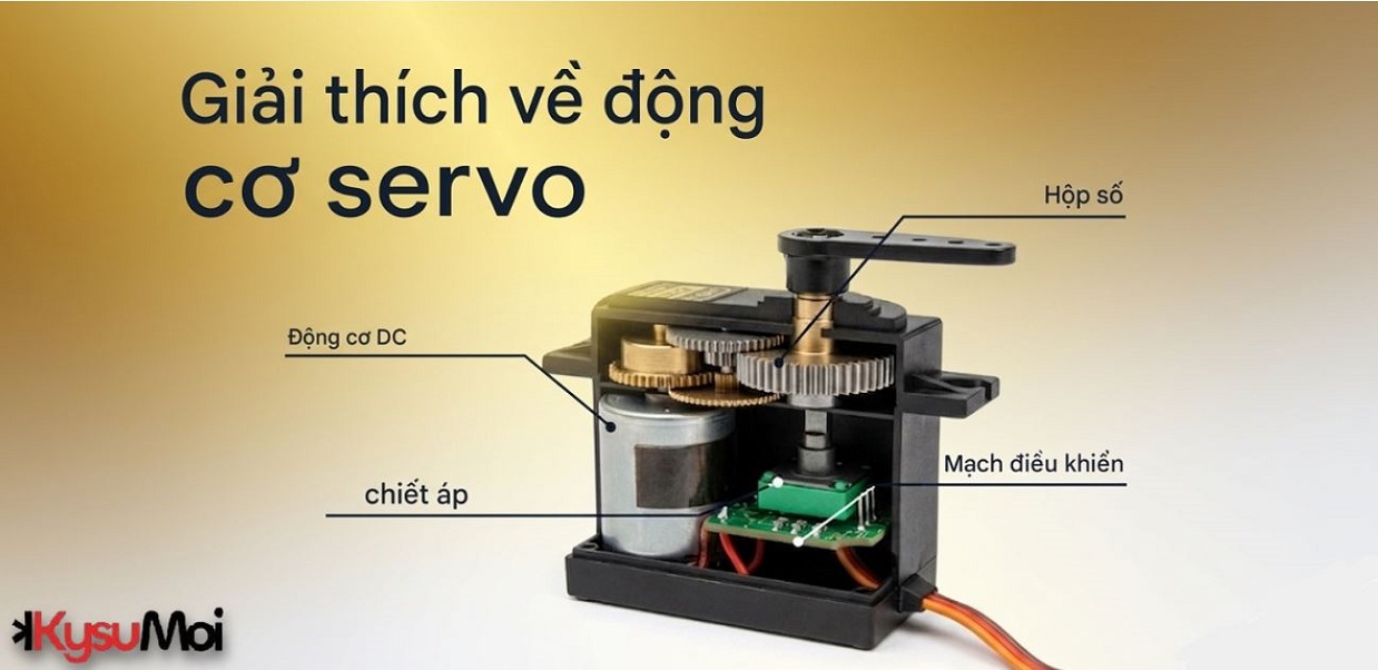 Động cơ servo