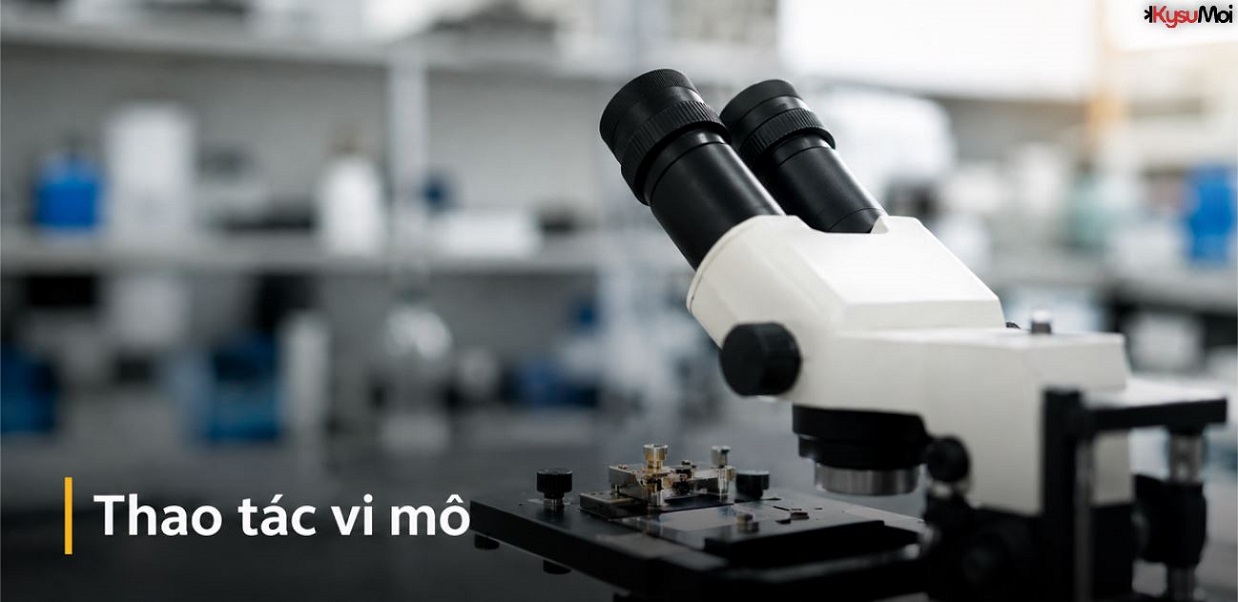 Thao tác vi mô