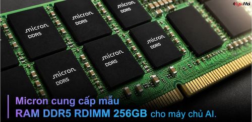 Micron cung cấp mẫu RAM DDR5 RDIMM 256GB cho máy chủ AI.