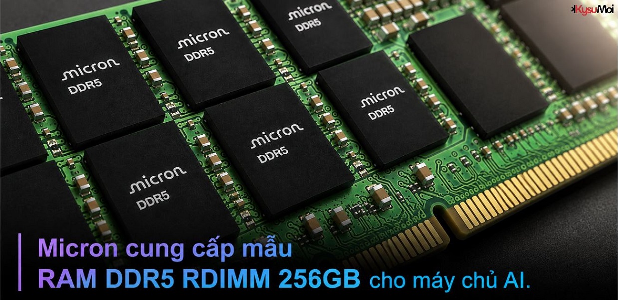 Micron cung cấp mẫu RAM DDR5 RDIMM 256GB cho máy chủ AI.