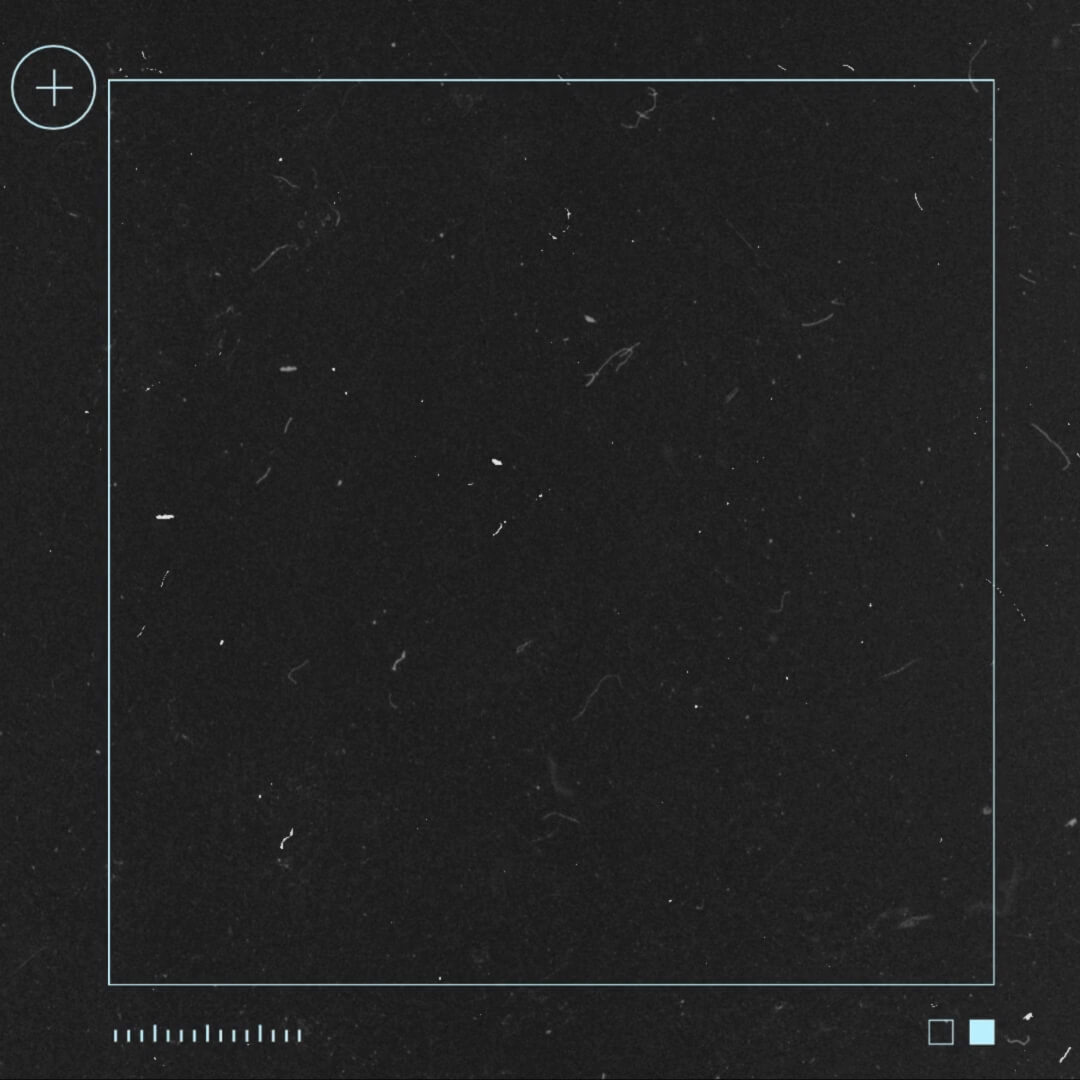 The Film Kit template design "Background 03" with 1x1 aspect ratio