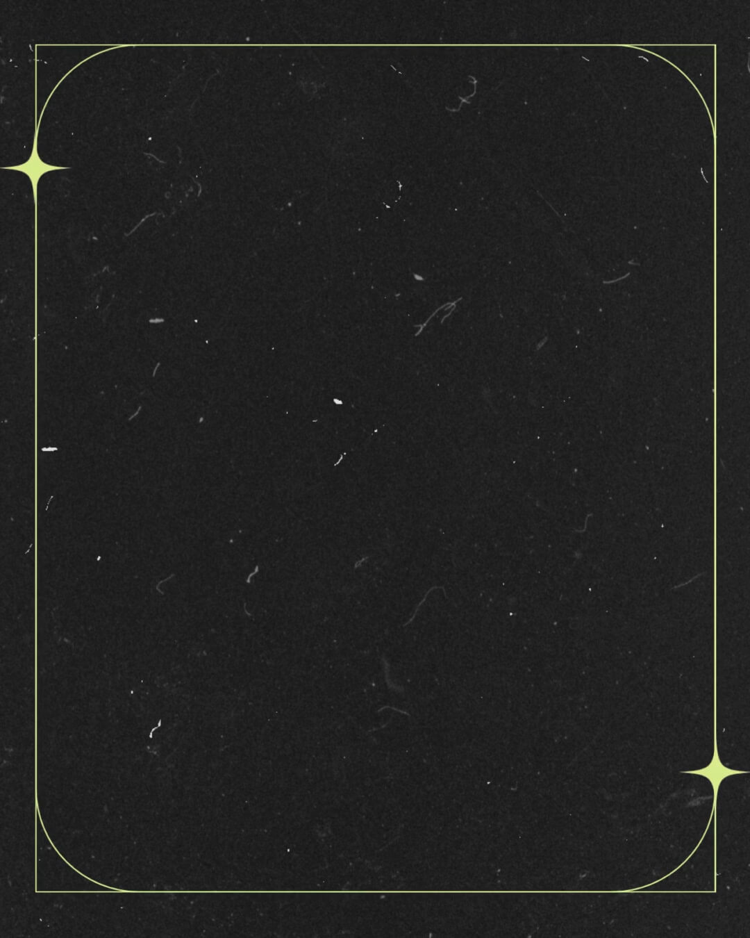 The Film Kit template design "Background 01" with 4x5 aspect ratio