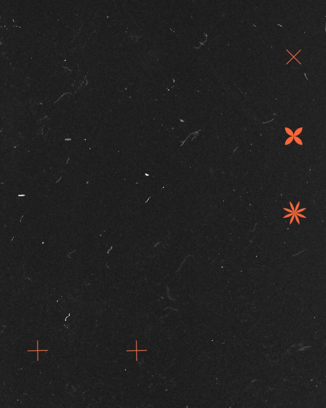 The Film Kit template design "Background 02" with 4x5 aspect ratio