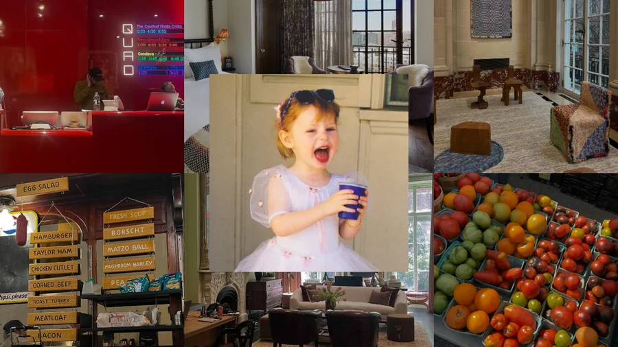 My City, My Backyard With Julia Stevens In New York