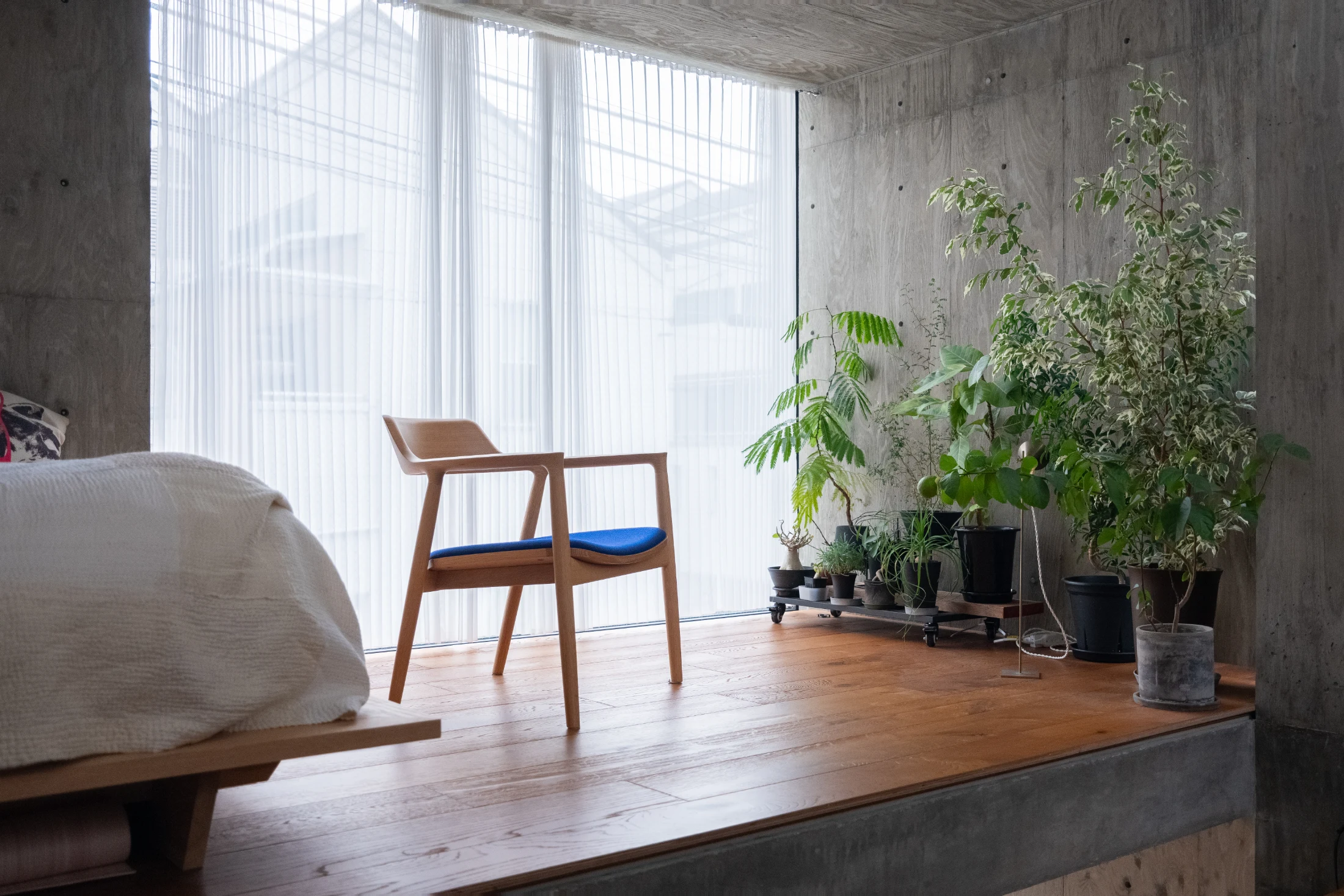 Plants feature throughout the house with a mobile house plant garden located on the same level as the bed 'room'.