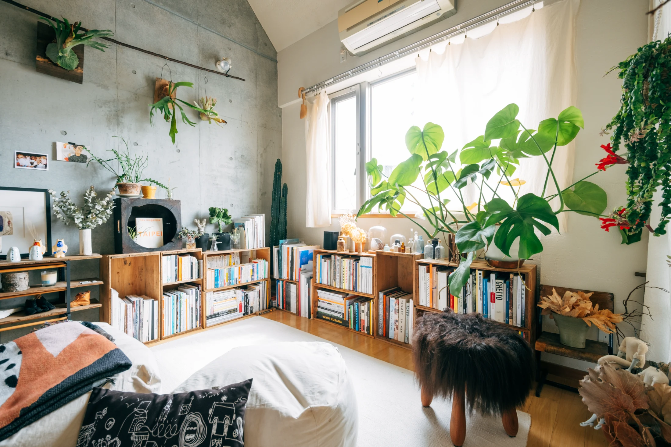 (ABOVE) More plants in Aya and Sho's apartment. Image: Tsubottle for Roomie.jp.