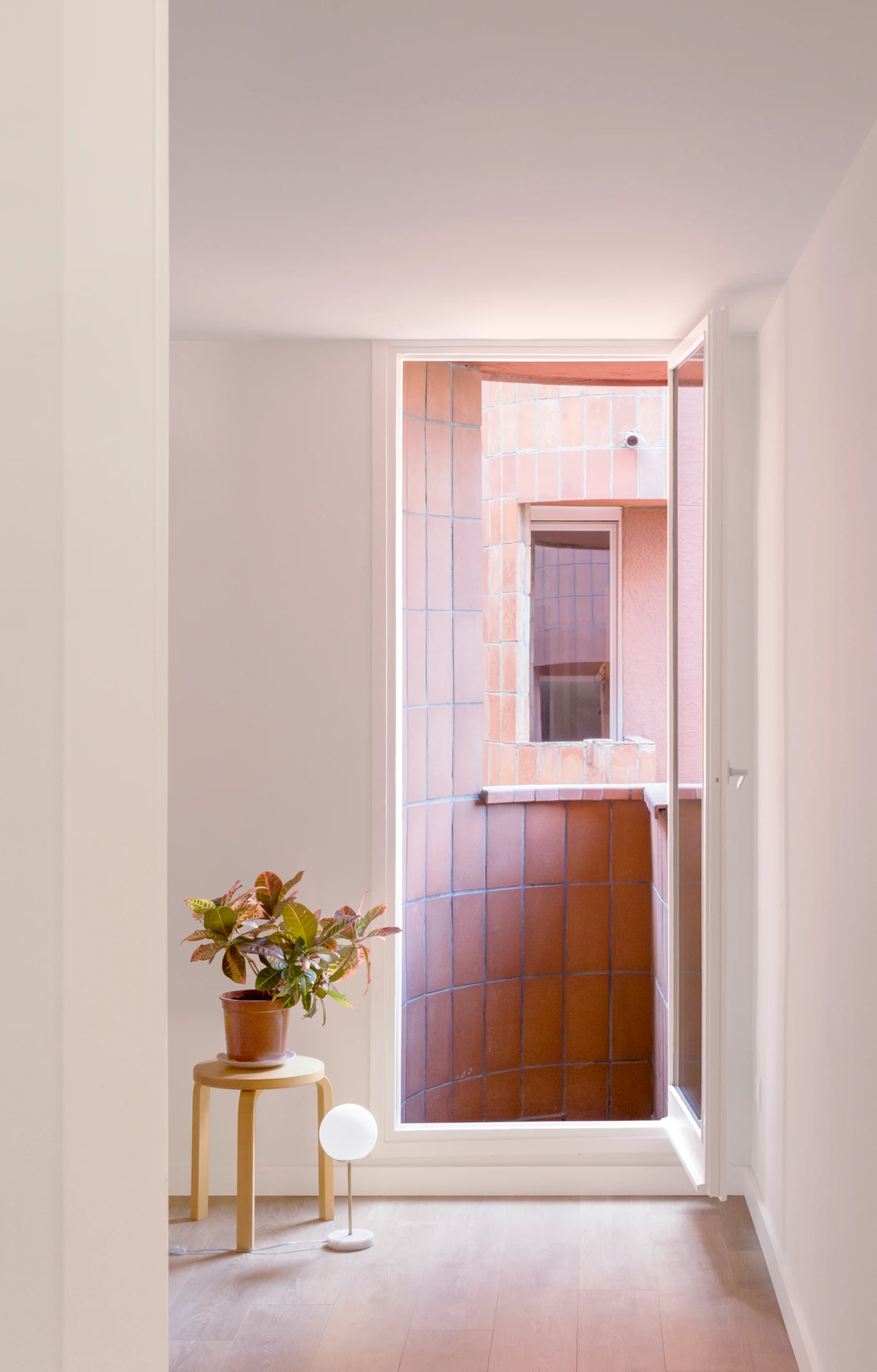 The terracotta exterior reflecting its warm glow into the apartment. Image: Bonell+Dòriga.