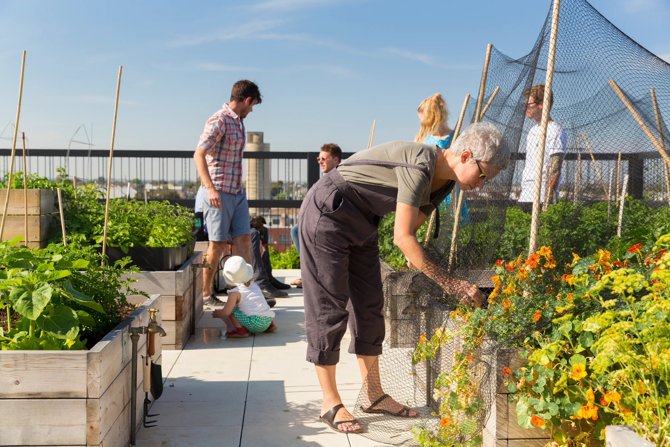 Neighbours of all ages socialise and tend to shared vegetable gardens on the rooftop of The Commons. Designed by Breathe, The Commons served as a prototype for many of the ideas inherent to the Nightingale model. Image: Wuttke Photography.
