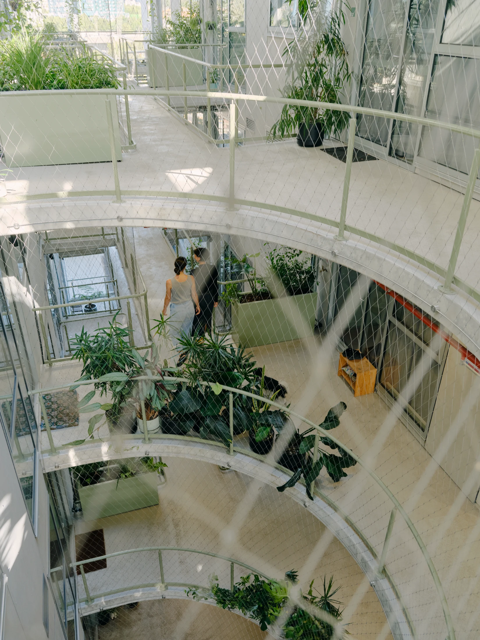 (Left + below) The open-air walkway that both splits and connects the building at 38 Albermale Street generates cross ventilation for all the apartments while also creating space for spontaneous community building (and lots of plants). Image: Tom Ross cour