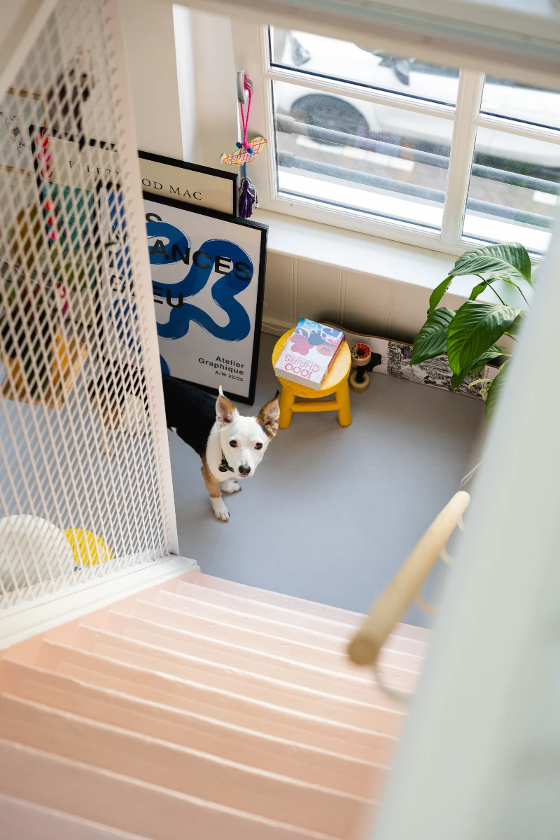 Small Home: Casa Koala