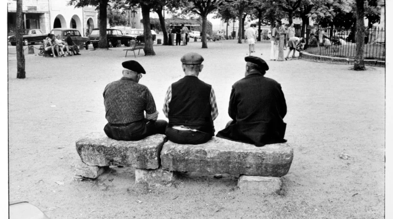The Bench
