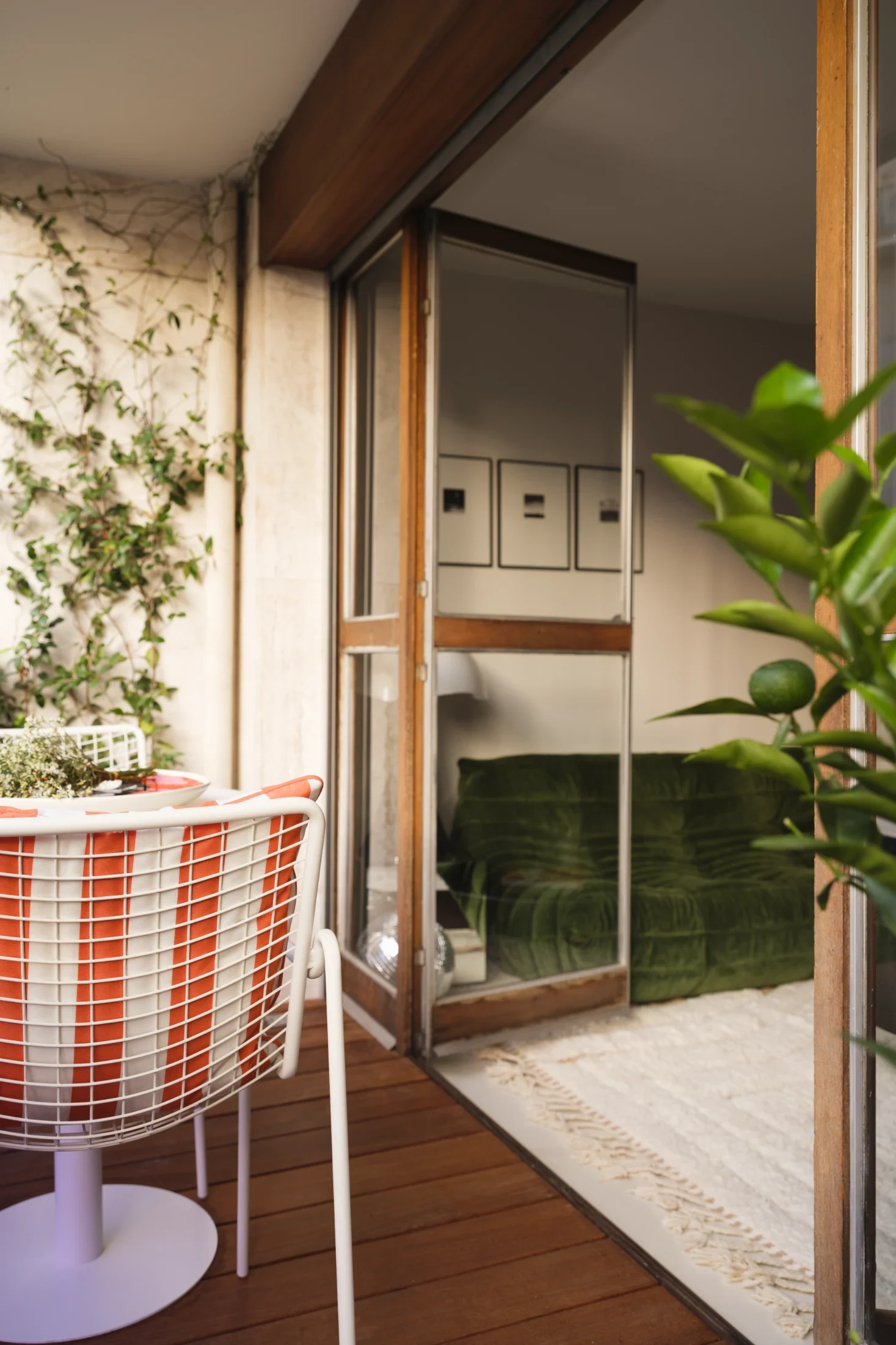 A charming Mediterranean flavoured terrace, complete with citrus trees and and creeping and trailing greenery, includes a