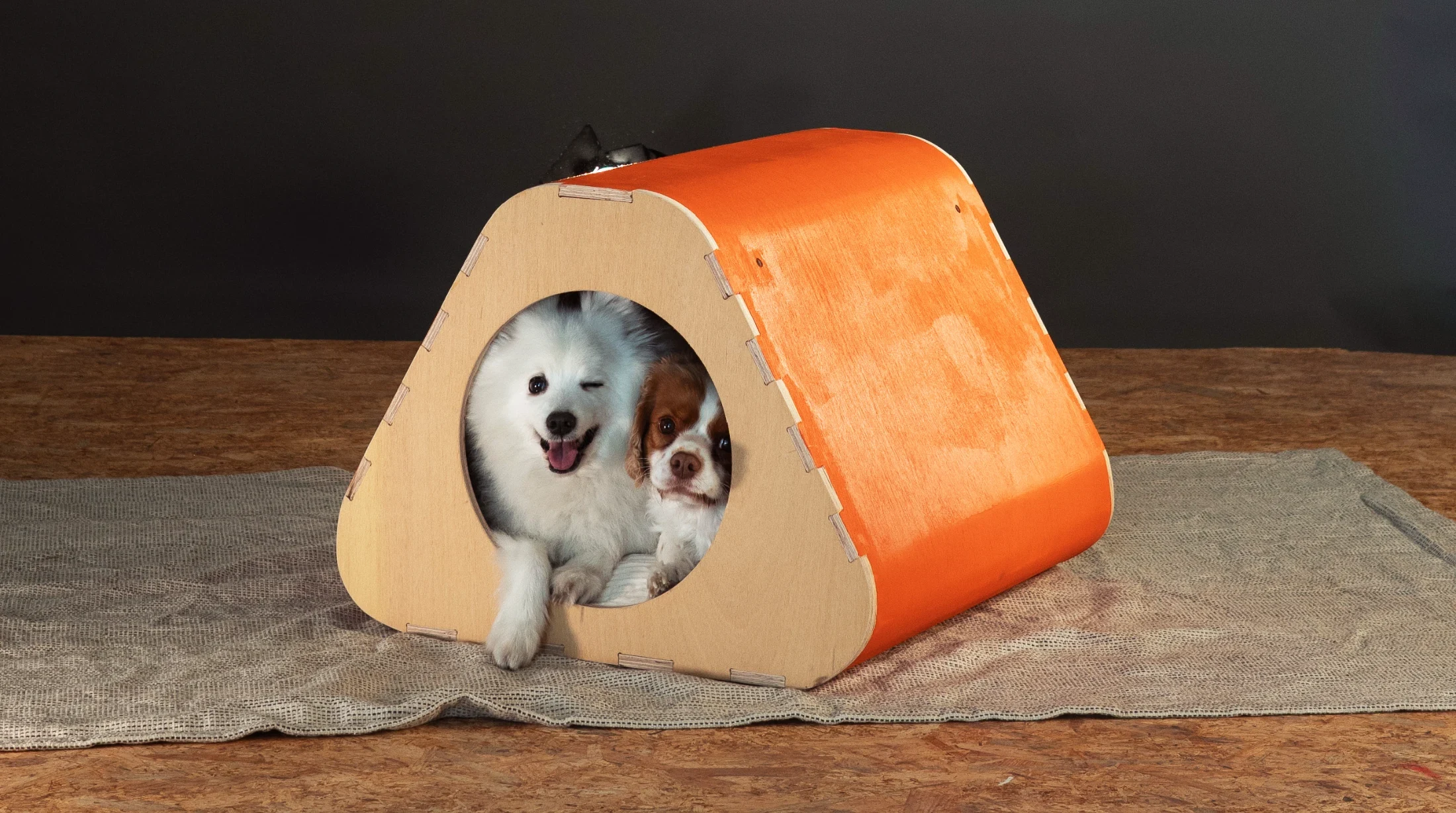 A Better Breed of Pet Furniture.