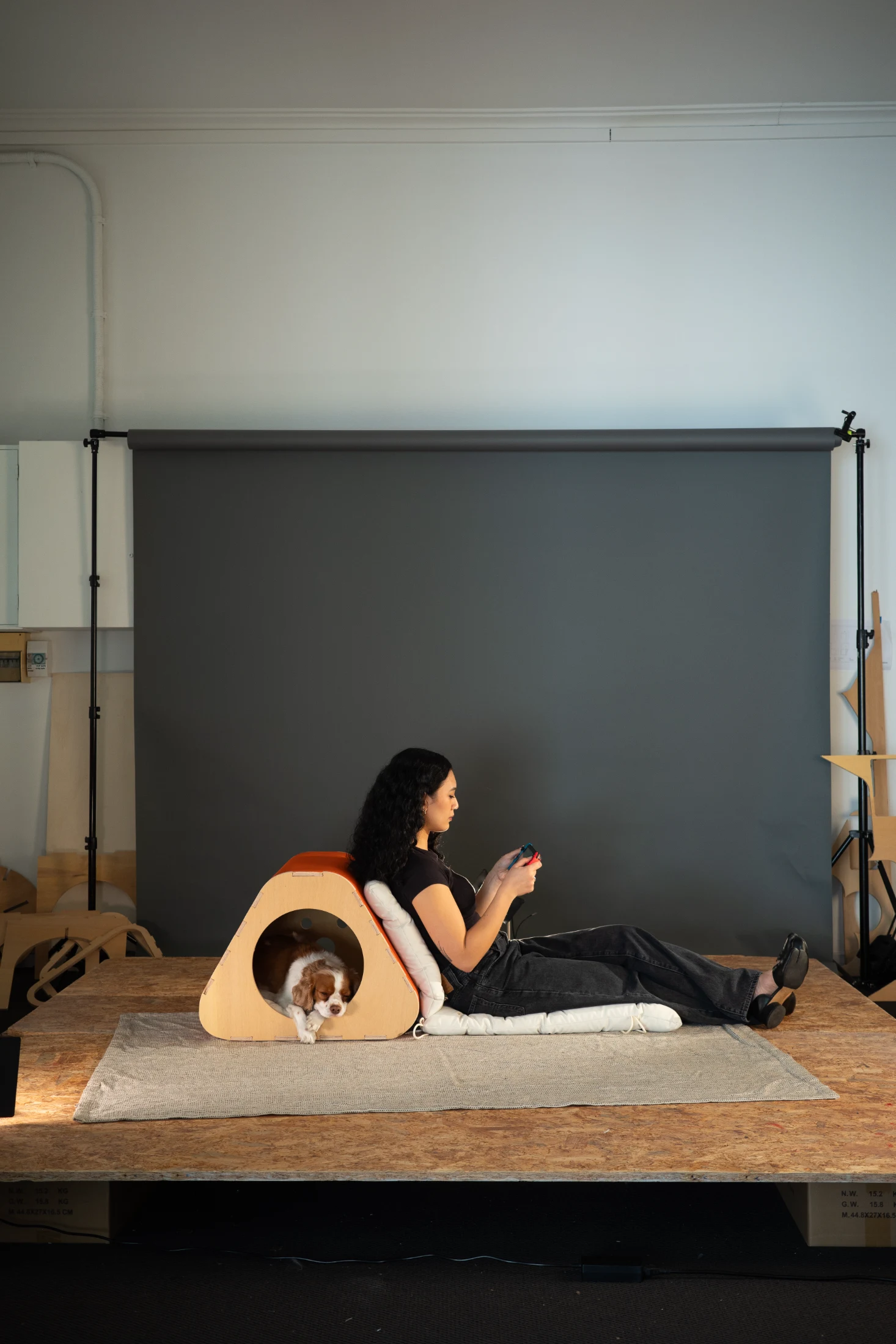 'Doggy Loungey' designed by Hidy Wong and Jack Chen from Australian practice, Tsai Design, is an ideal piece of furniture for those who like lounging with their pets. For added comfort, a futon can be tied around the piece. The flat top means the piece can