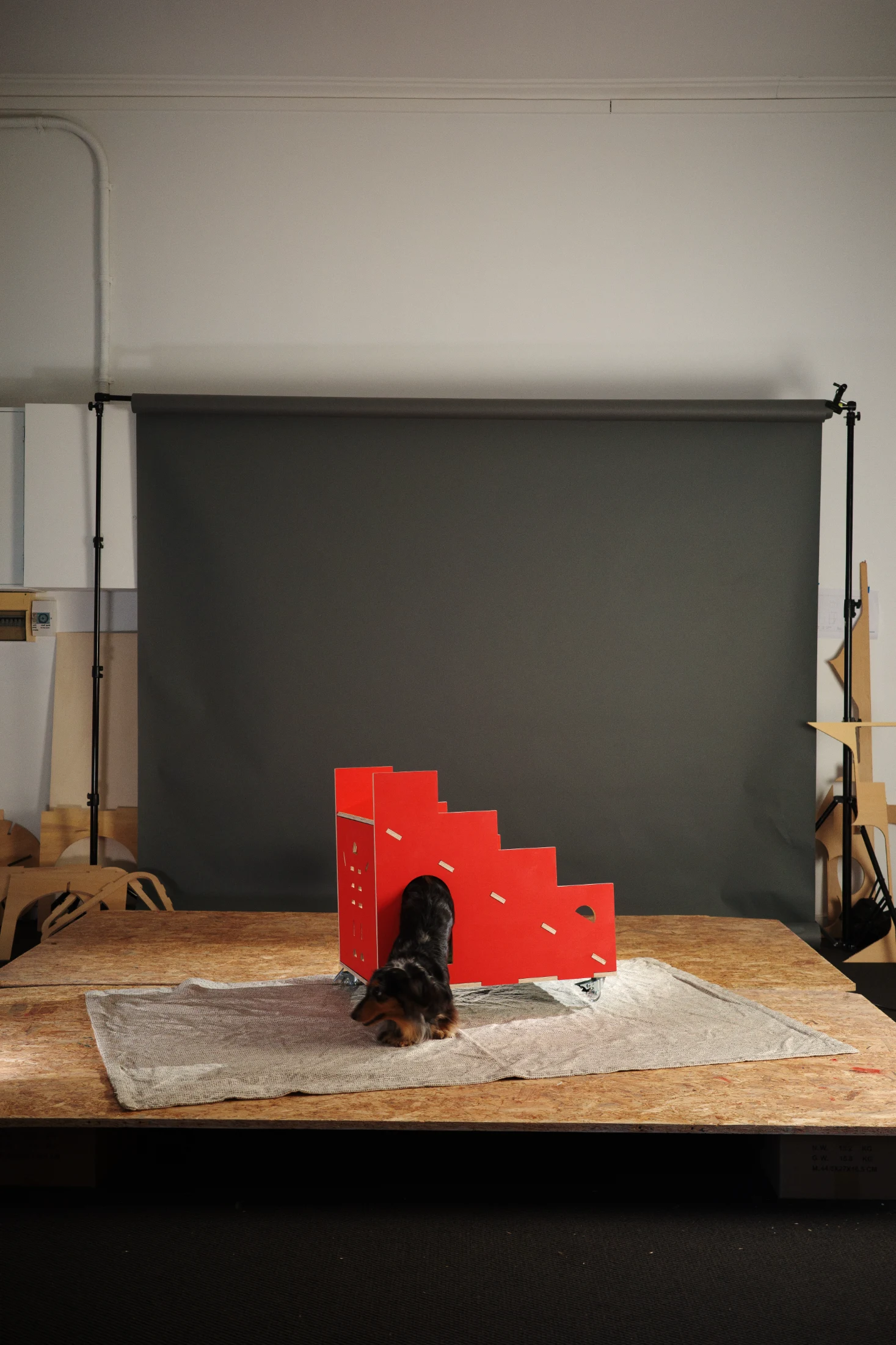 Spanish Architect Mariana de Delás's miniature dachshund, Pepas, loves to sit on the dining chair next to her when she works from home. Like most breeds with shorter legs, Pepas needs to be lifted by Mariana to access higher places. To address this, Marian