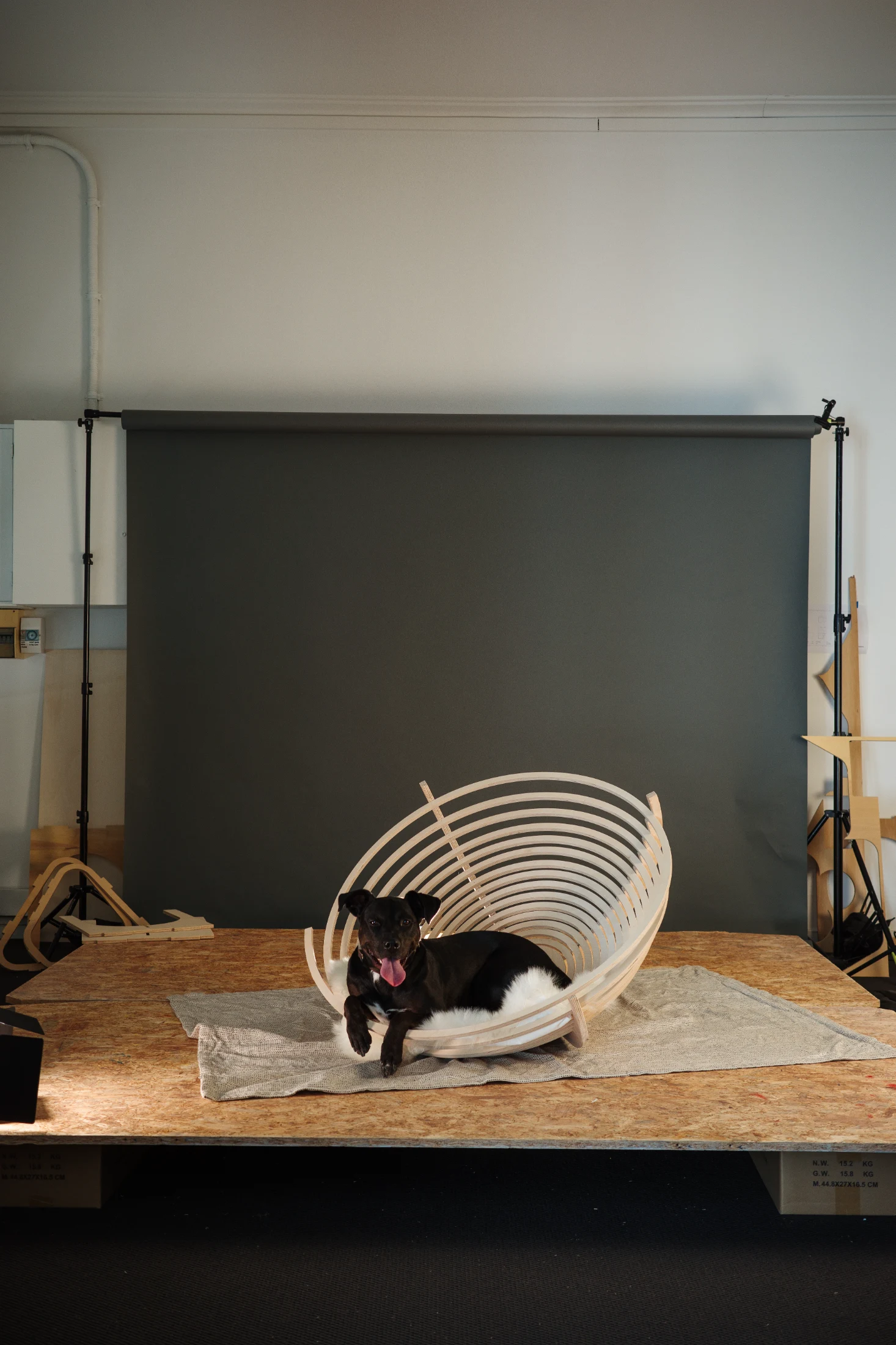 Ben Edwards and Nancy Beka of Melbourne's Studio Edwards designed 'Pup Cup' for the exhibition. Its dramatic spiralling form was cut and lifted from a single sheet of plywood before being fastened in its finished state by supporting struts. No pup? Pup Cup