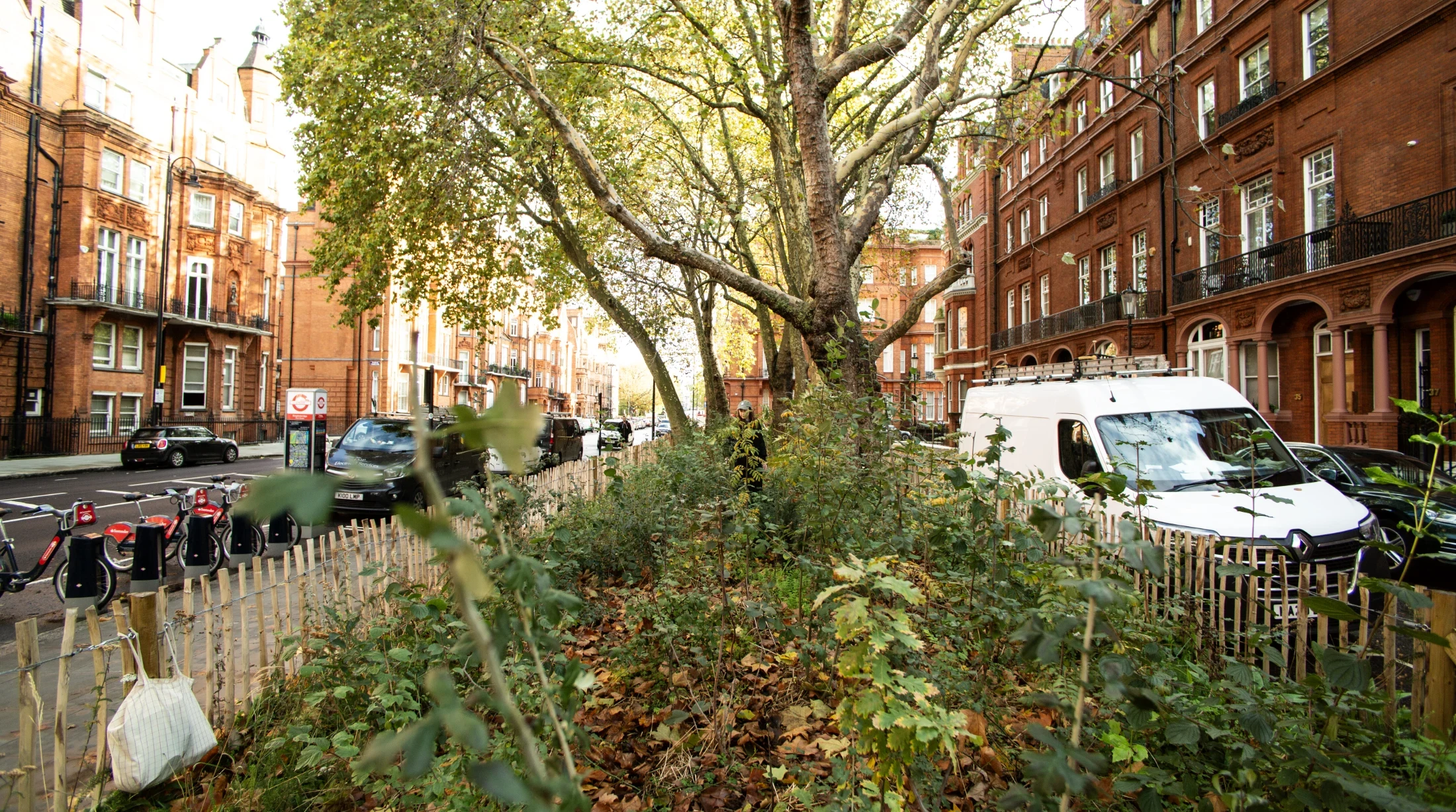 The Power of Pocket Forests