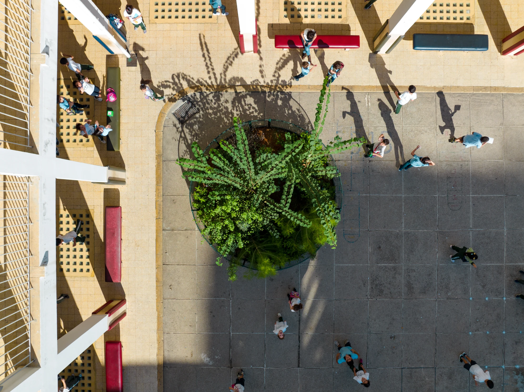 (Previous page) SUGi's 'Back to Play' micro forests in Beirut, Lebanon